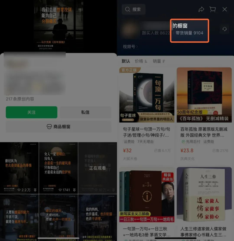 图片[2]-Deep seek+即梦+剪映制作视频号爆款书单号全流程-知鸿阁