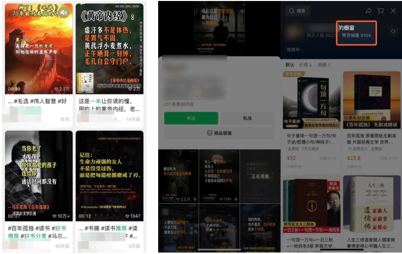 图片[1]-Deep seek+即梦+剪映制作视频号爆款书单号全流程-知鸿阁